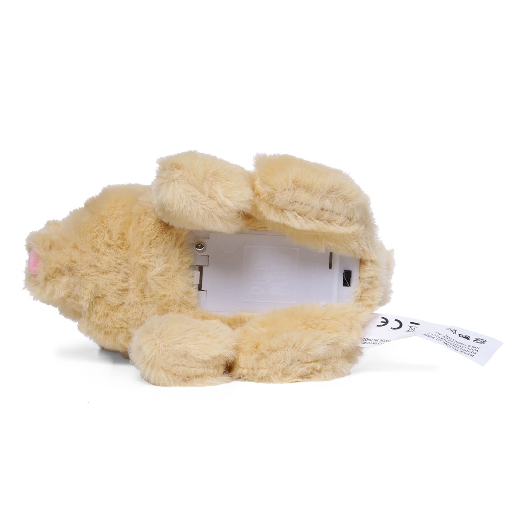 Walking and Talking Rabbit Toys
